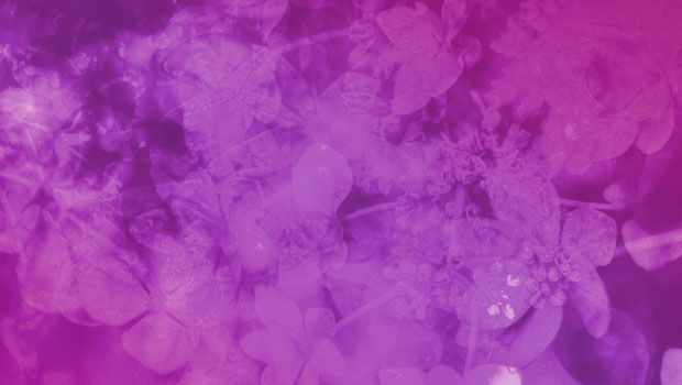 紫色のイメージ 色の性格 心理効果 色彩連想